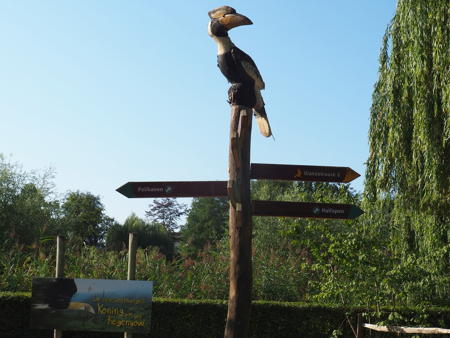 Great hornbill-carving on top of road sign post (Sep 2nd, 2018)