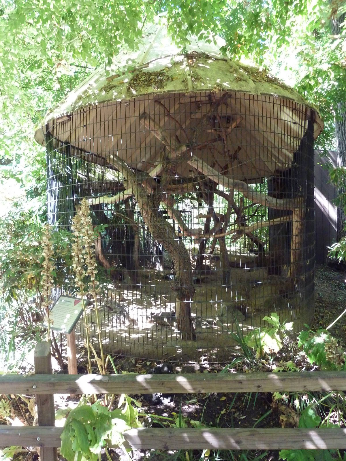 Great Hornbill Exhibit