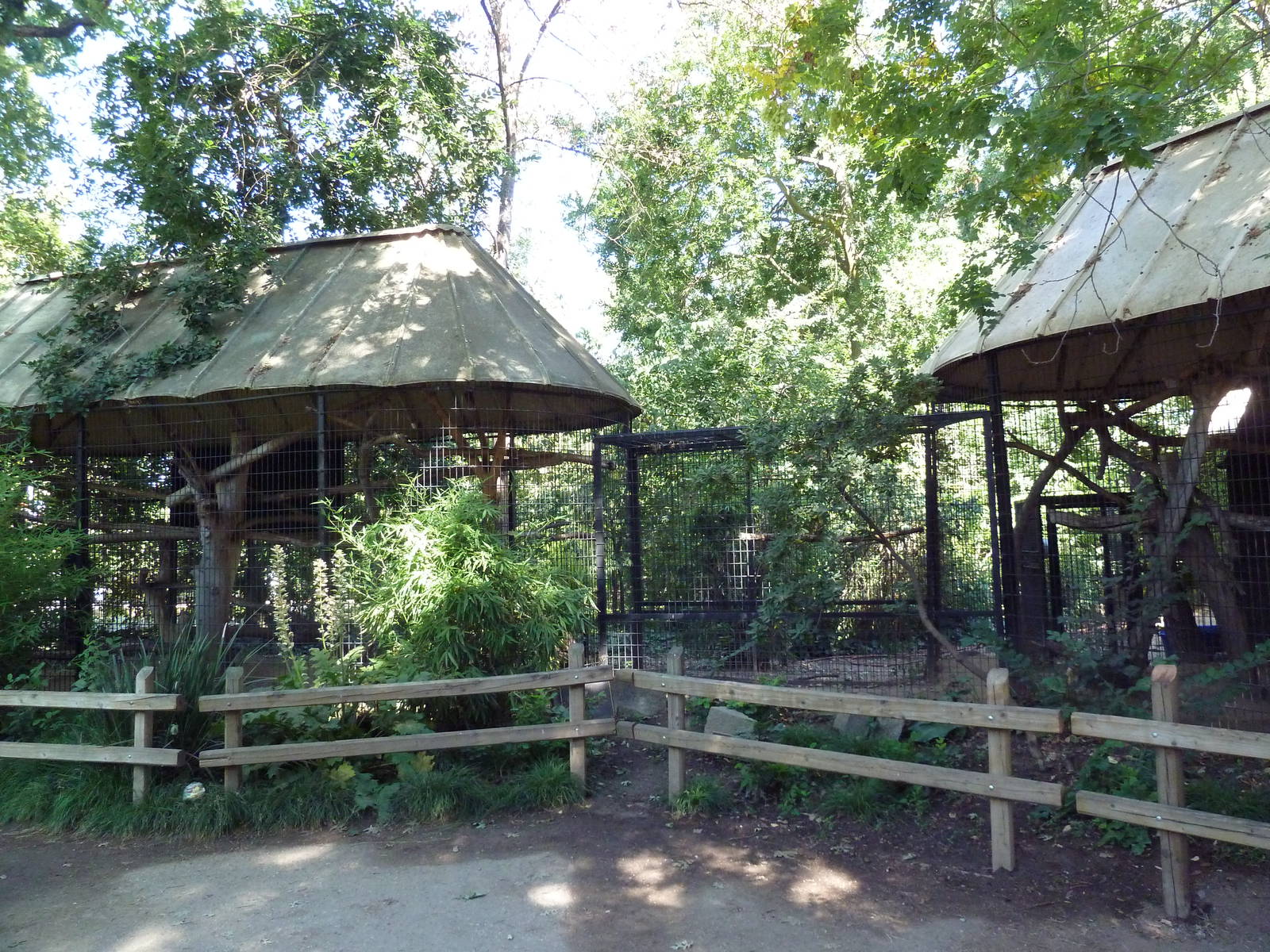 Great Hornbill Exhibits