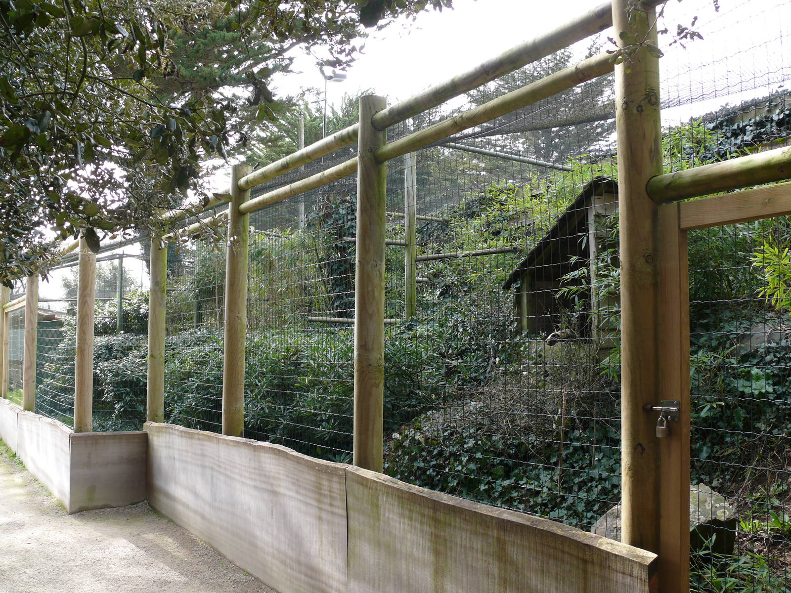 Great hornbills aviary