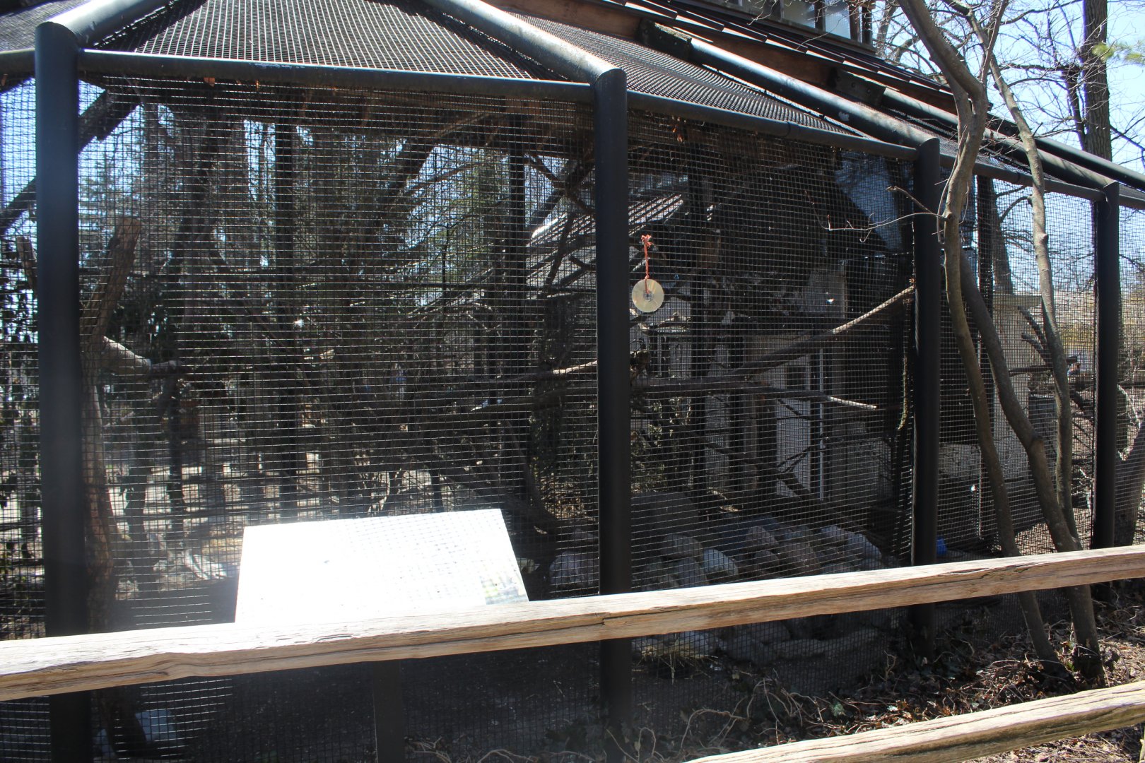 Great-Horned Owl Avairy - Birds of Prey