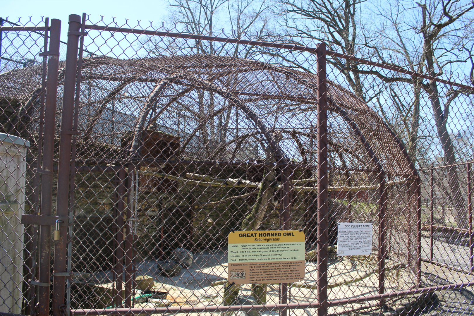 Great-Horned Owl Avairy