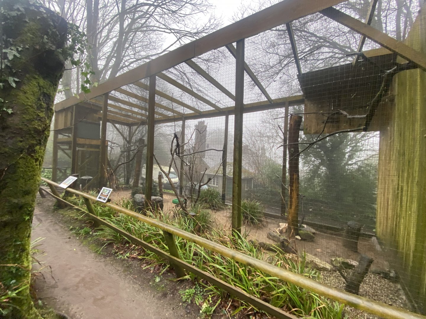 Great horned owl aviary 140224