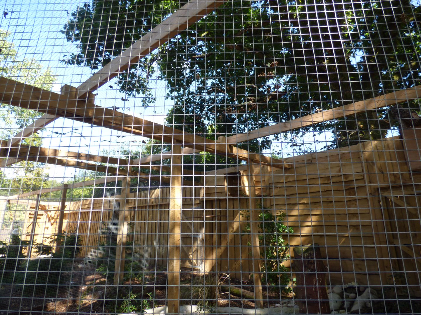 Great Horned Owl Aviary at The Terry Prachett Owl Aviary