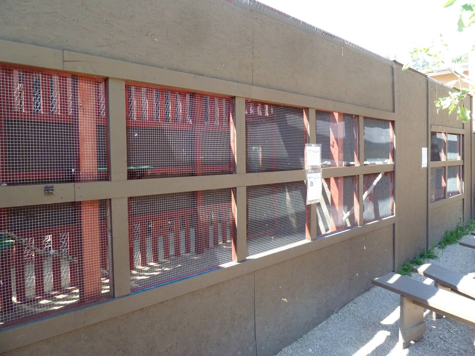 Great Horned Owl Aviary