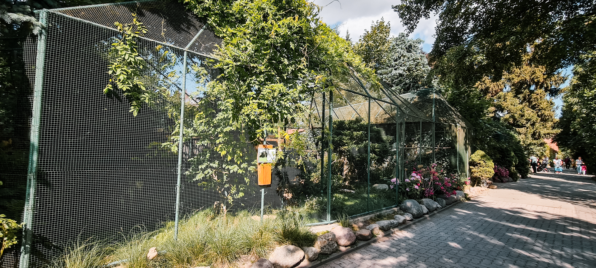 Great Horned Owl aviary