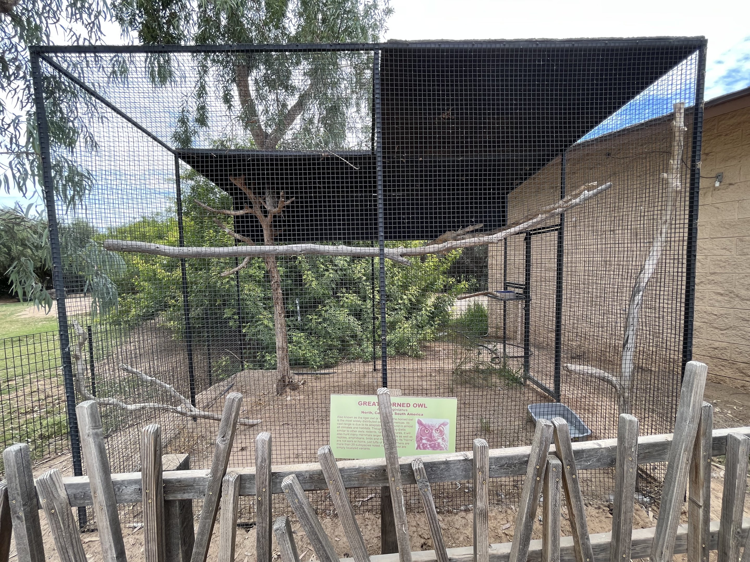 Great Horned Owl Aviary