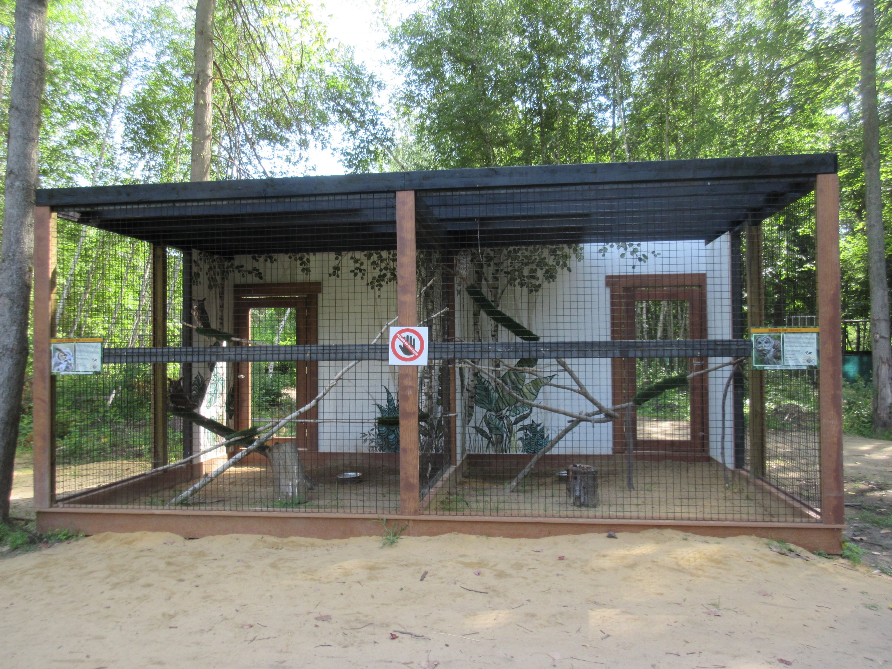 Great Horned Owl + Barred Owl Exhibits