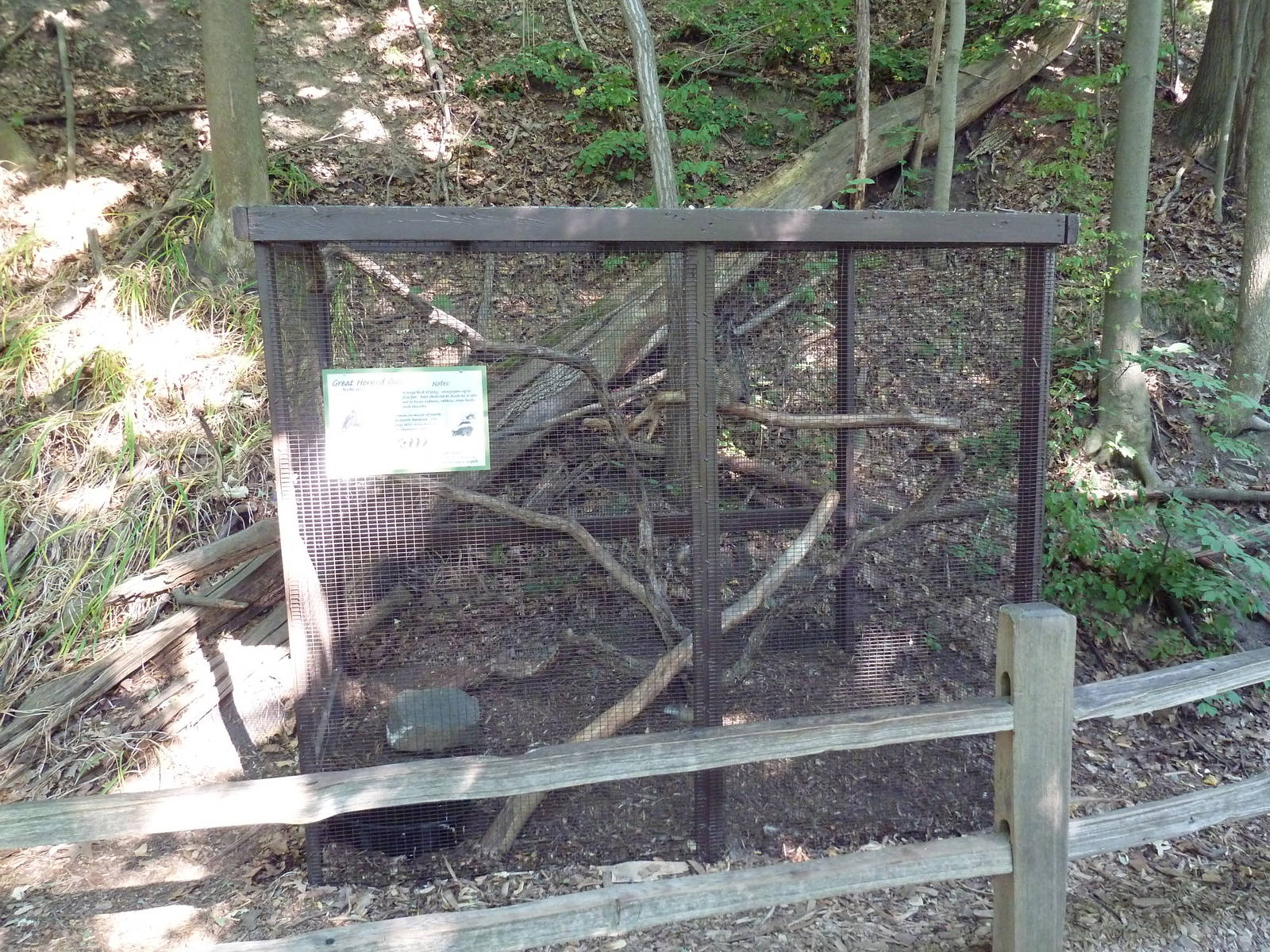 Great Horned Owl Cage