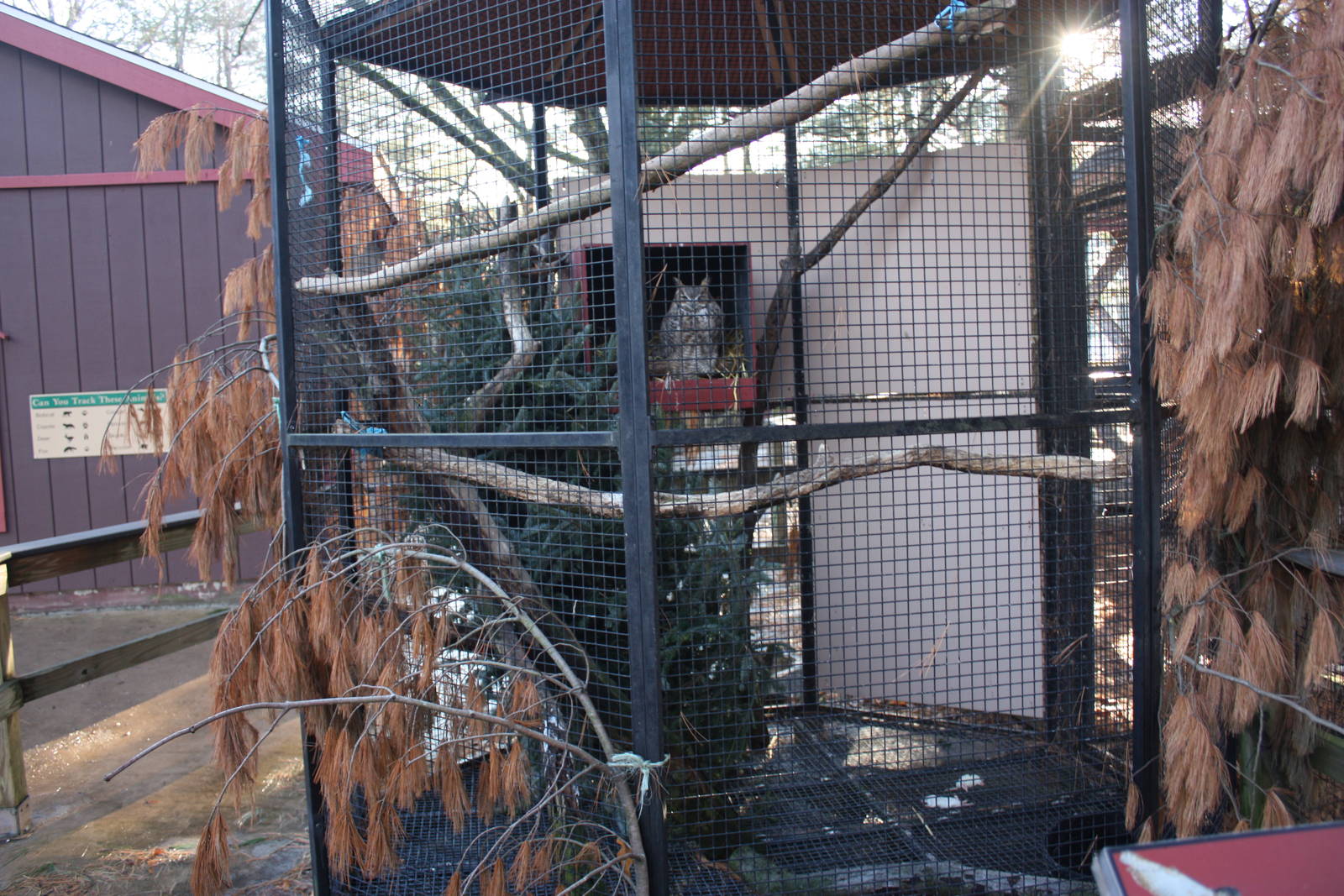 Great Horned Owl Cage