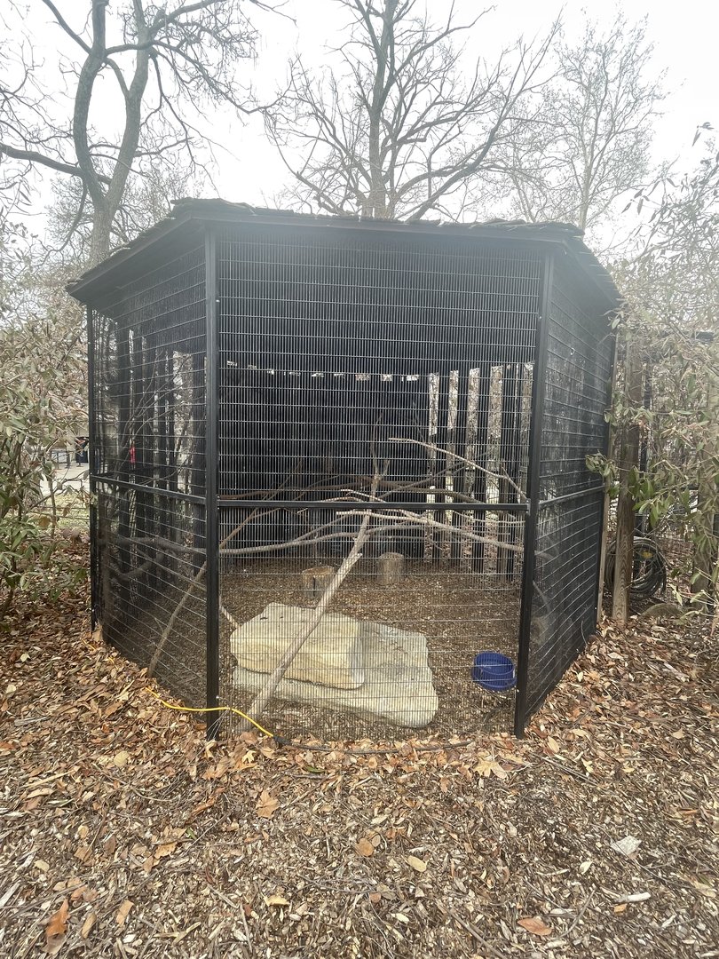 Great Horned Owl Cage