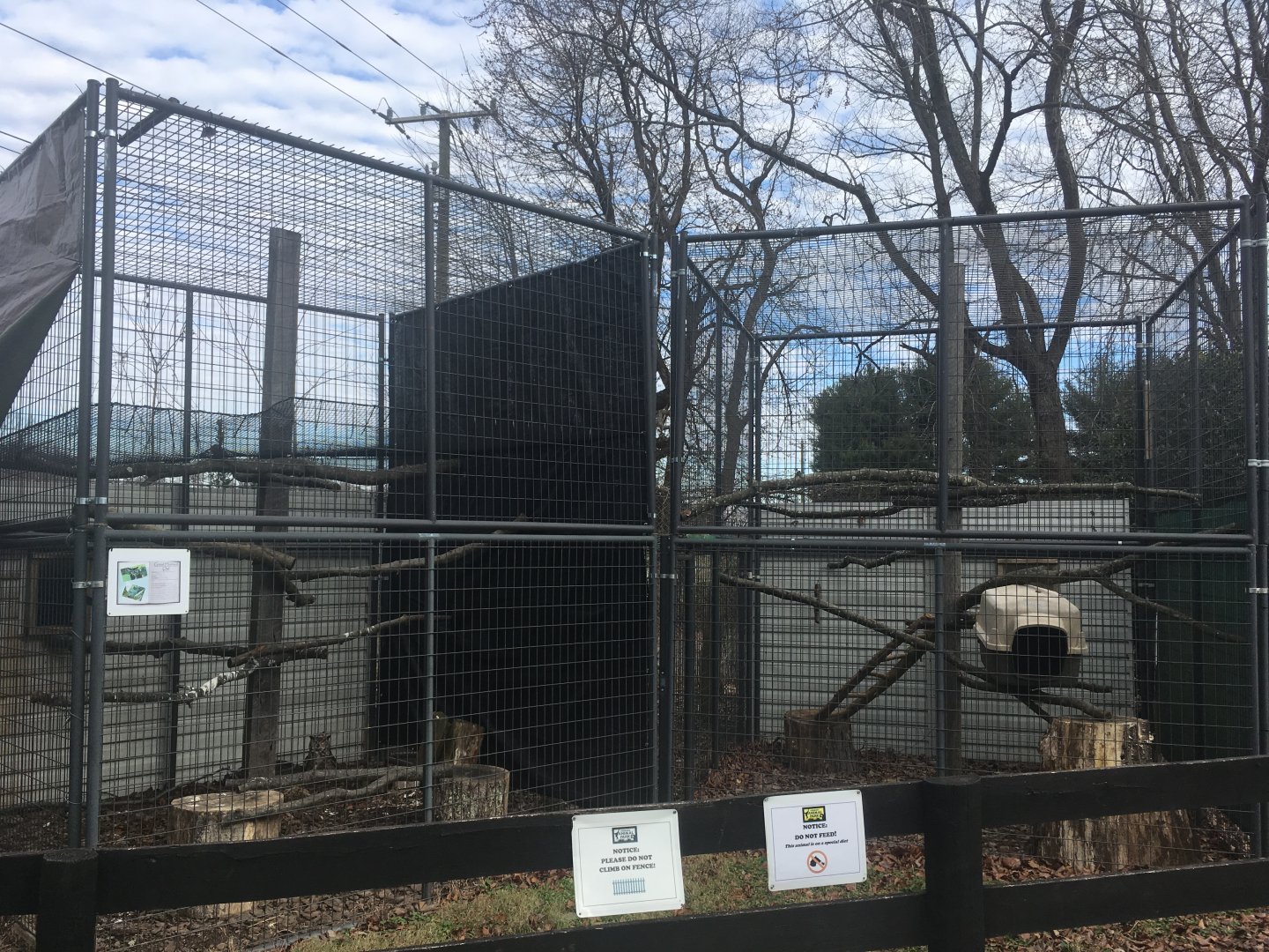 Great Horned Owl + Coatimundi (empty)