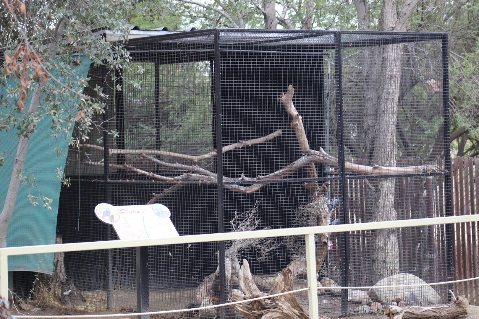 Great Horned Owl Enclosure