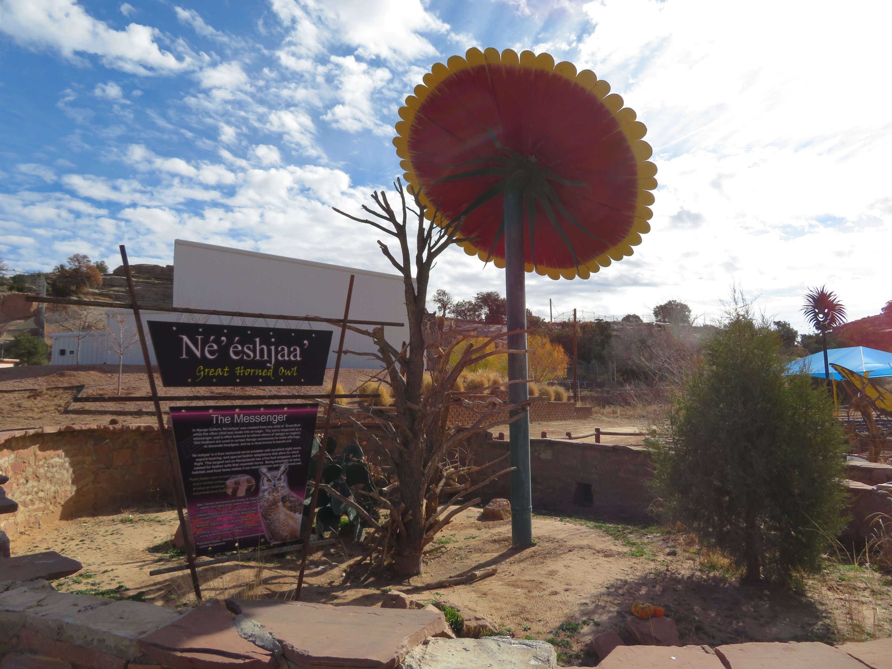 Great Horned Owl Enclosure