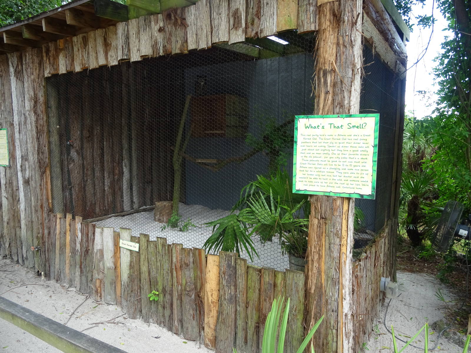 Great Horned Owl Exhibit at Gatorland