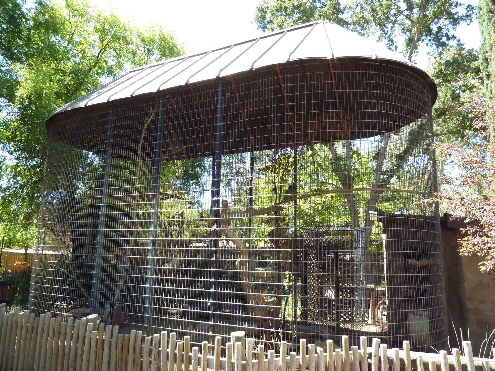 Great Horned Owl Exhibit