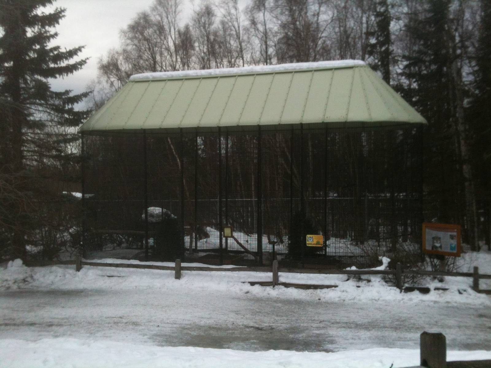 Great Horned Owl Exhibit