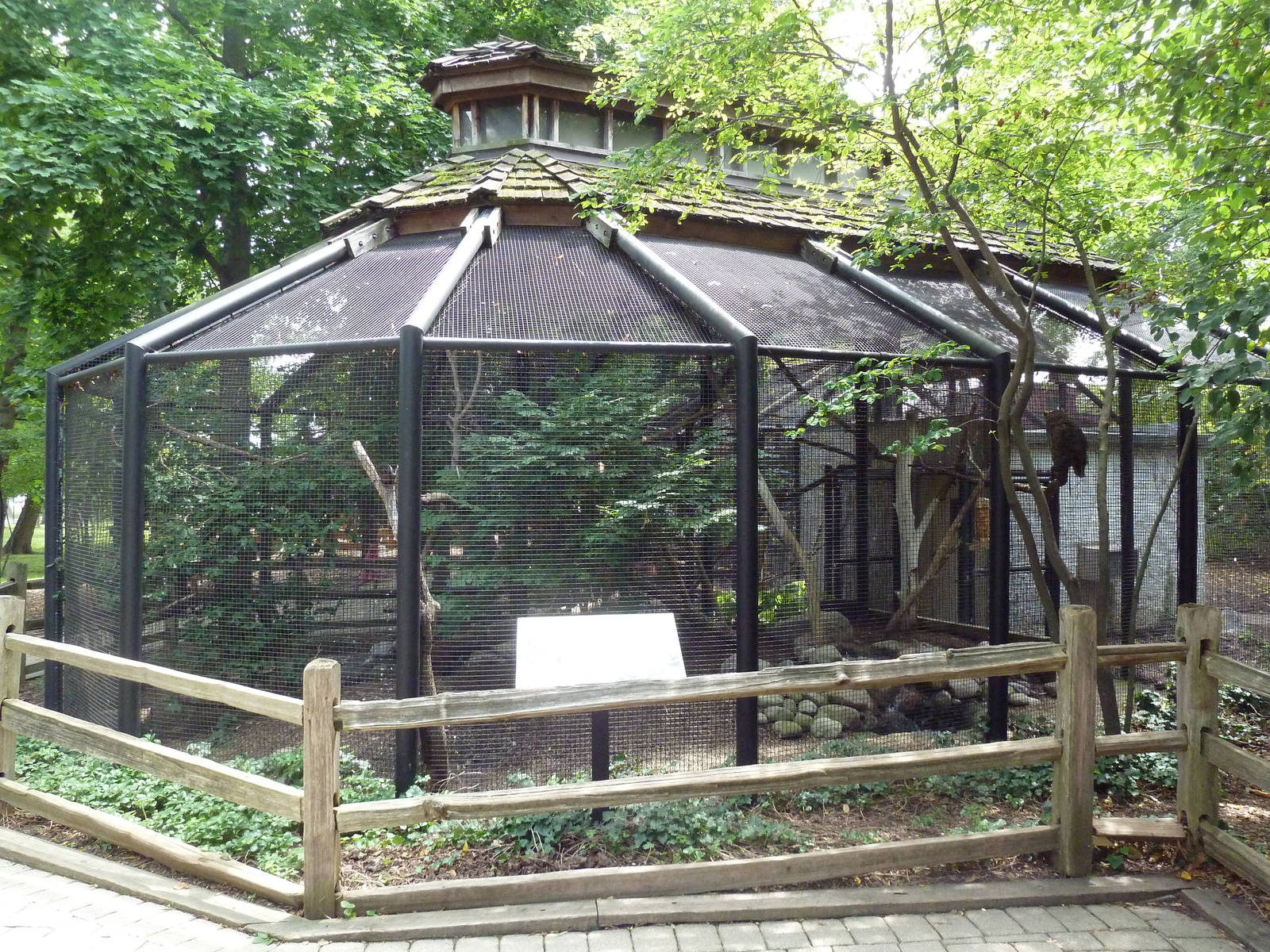 Great Horned Owl Exhibit