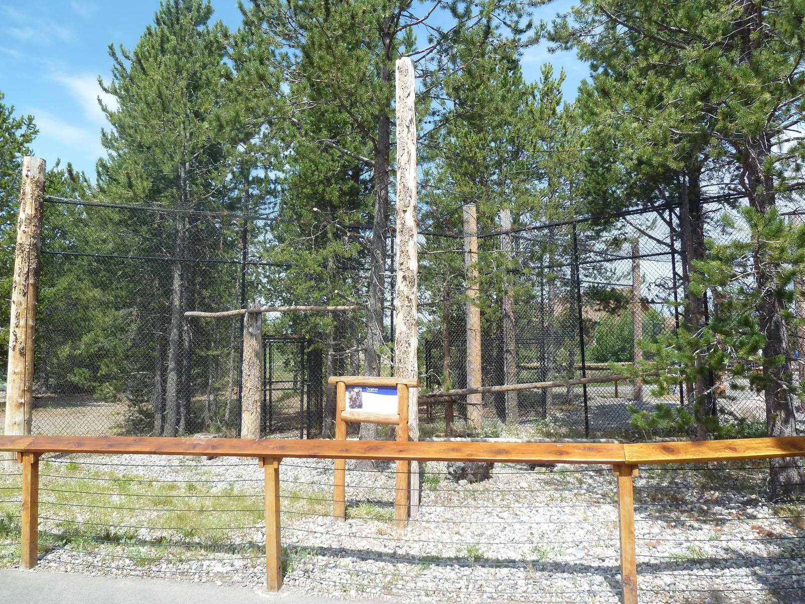 Great Horned Owl Exhibit