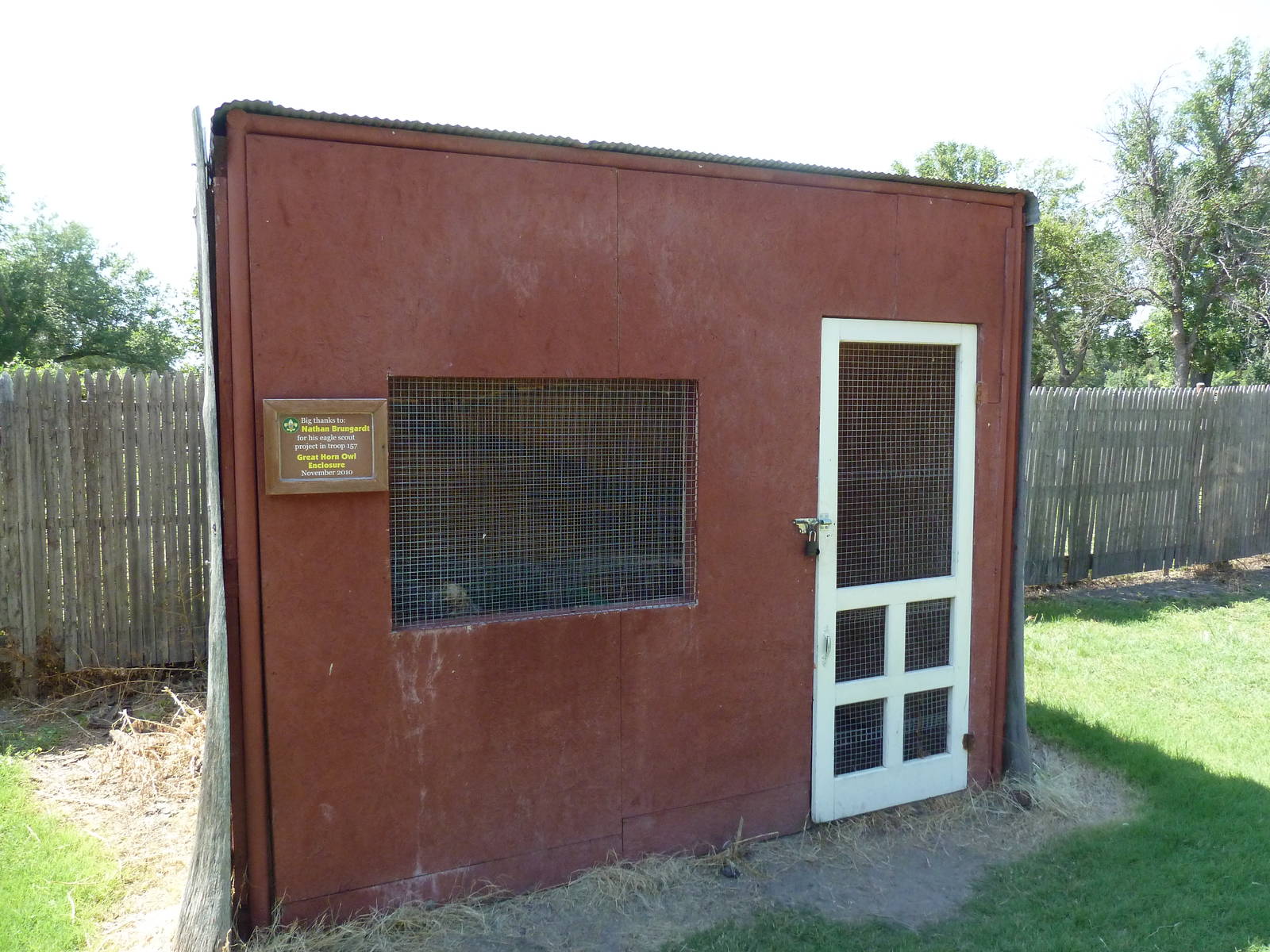 Great Horned Owl Exhibit