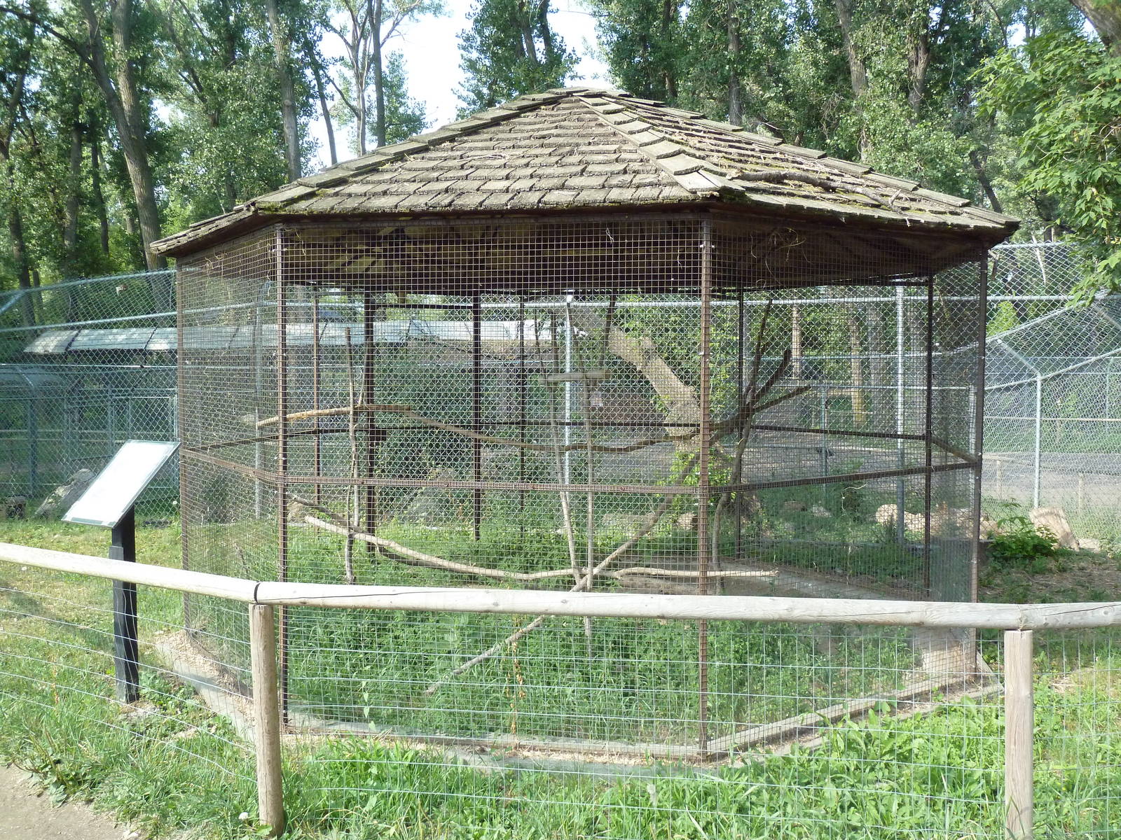 Great Horned Owl Exhibit
