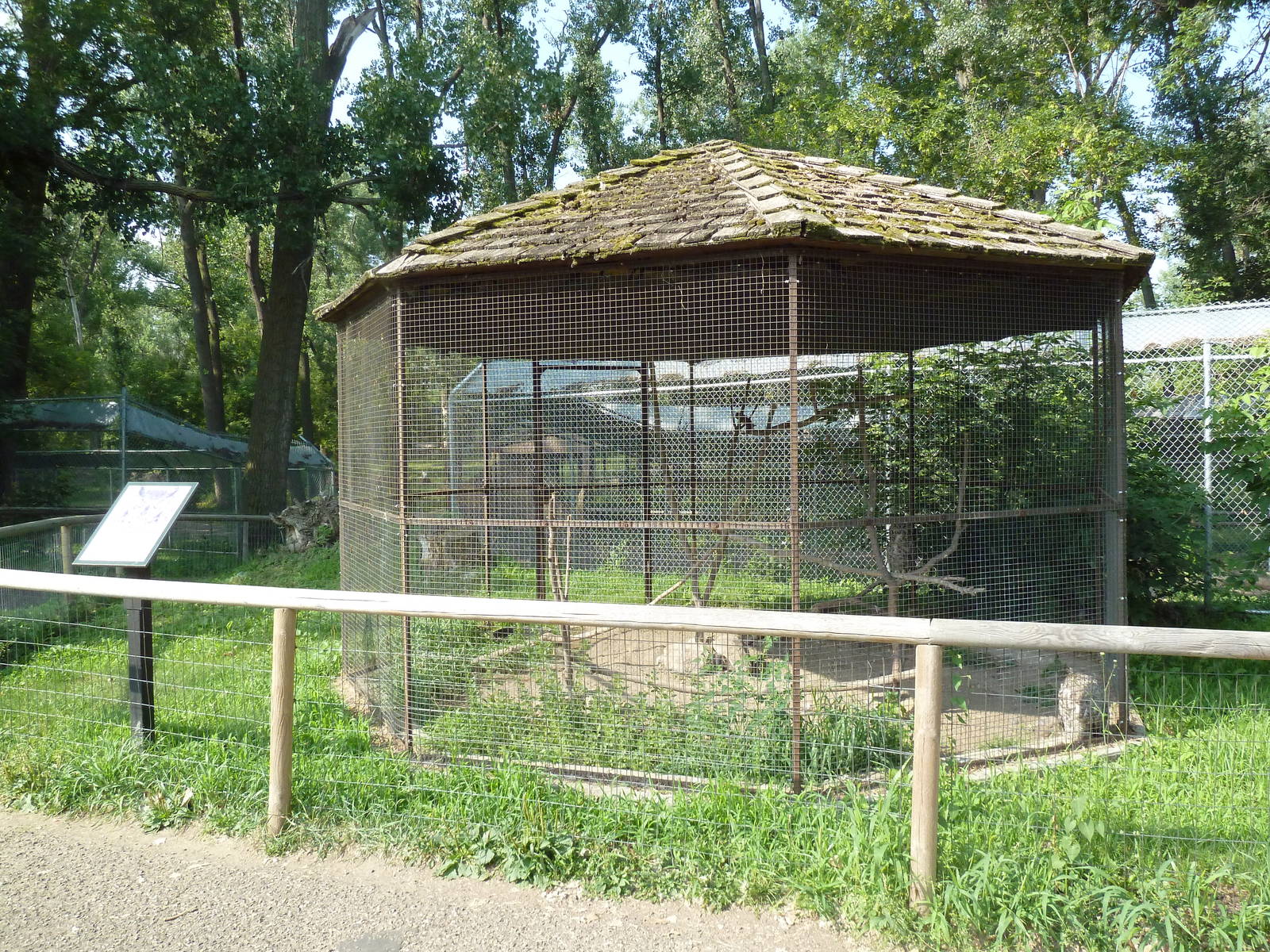Great Horned Owl Exhibit