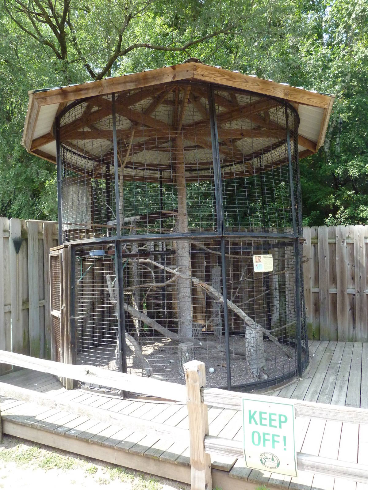 Great Horned Owl Exhibit