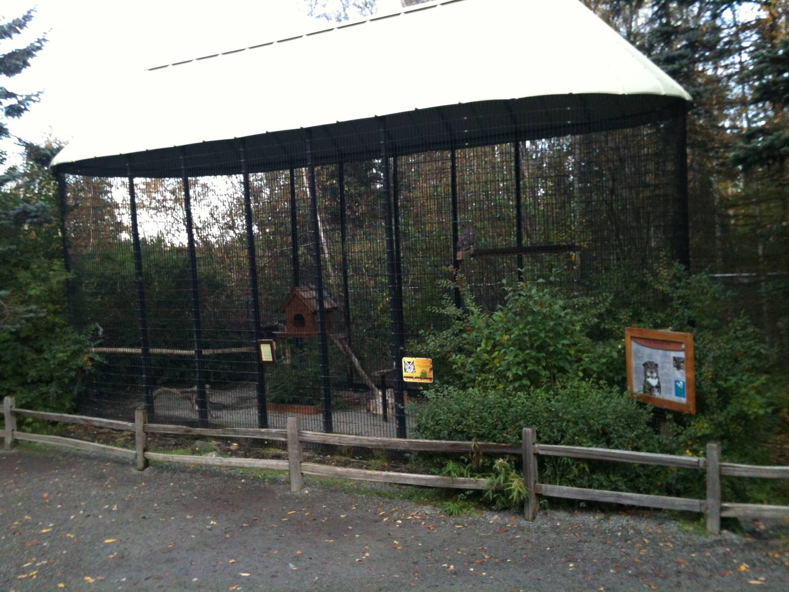 Great Horned Owl Exhibit