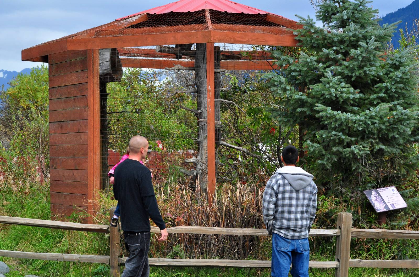 Great Horned Owl Exhibit