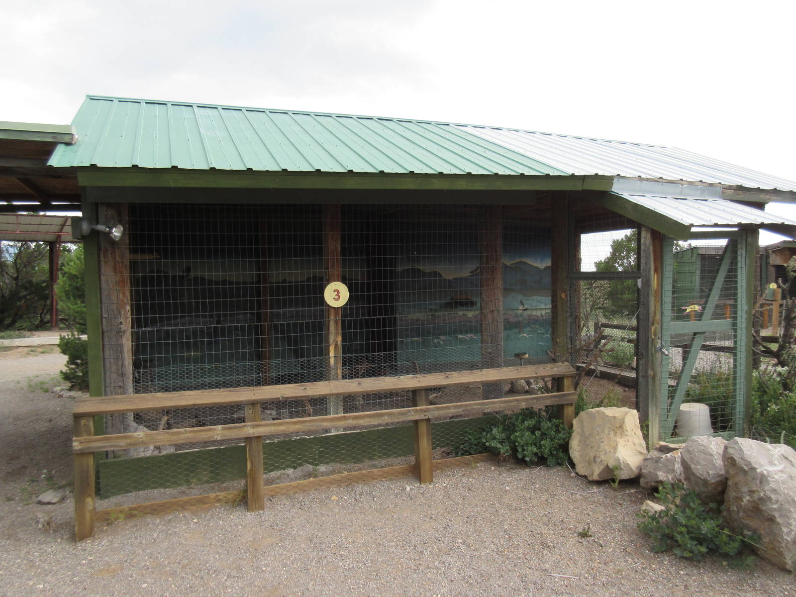Great Horned Owl Exhibit
