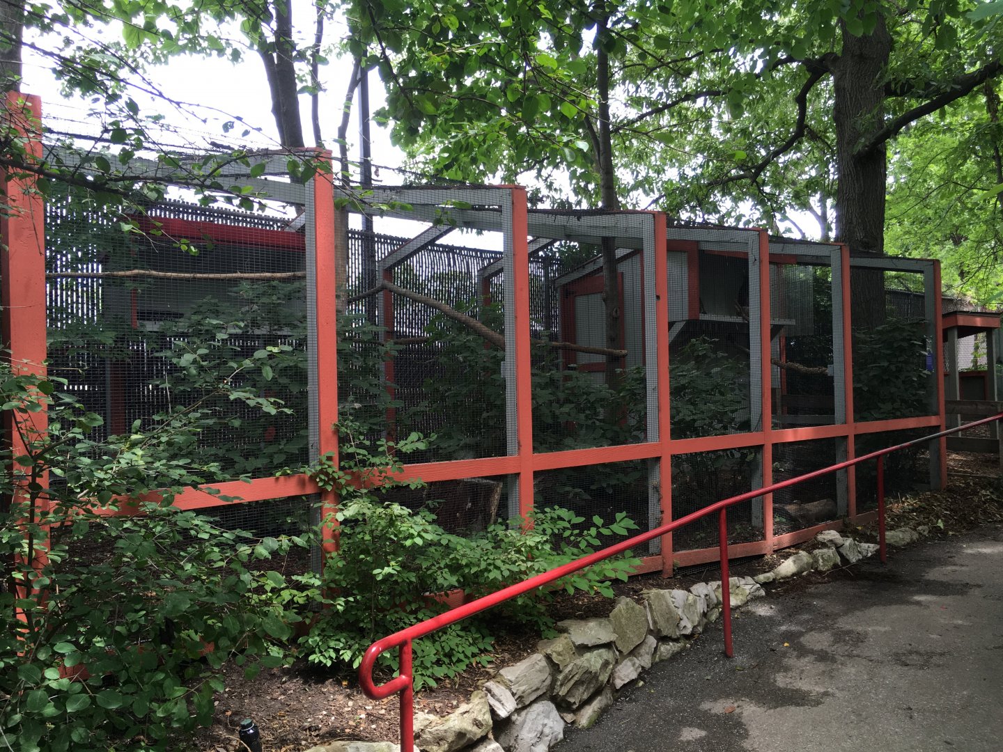 Great Horned Owl Exhibit