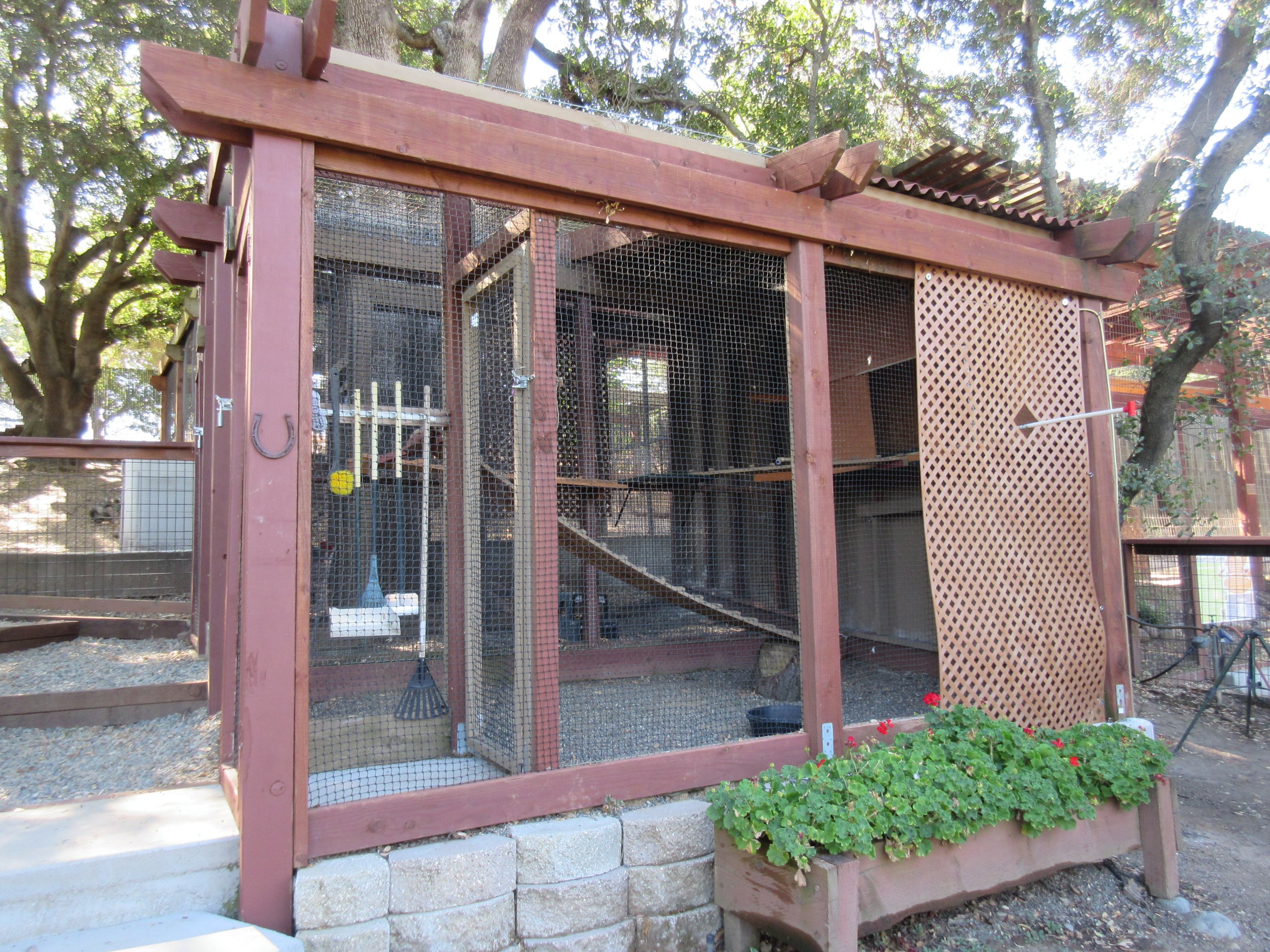 Great Horned Owl Exhibit