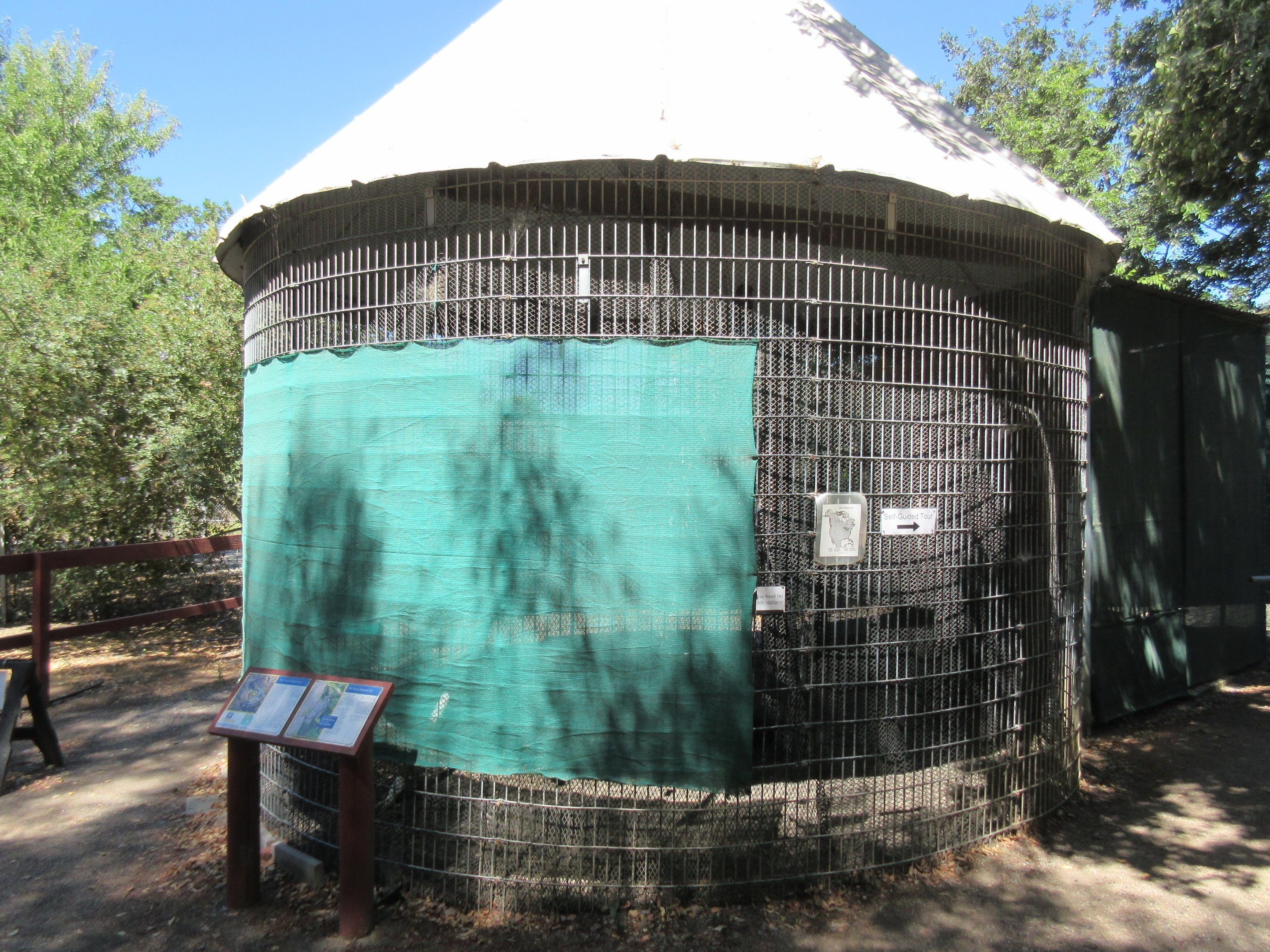 Great Horned Owl Exhibit