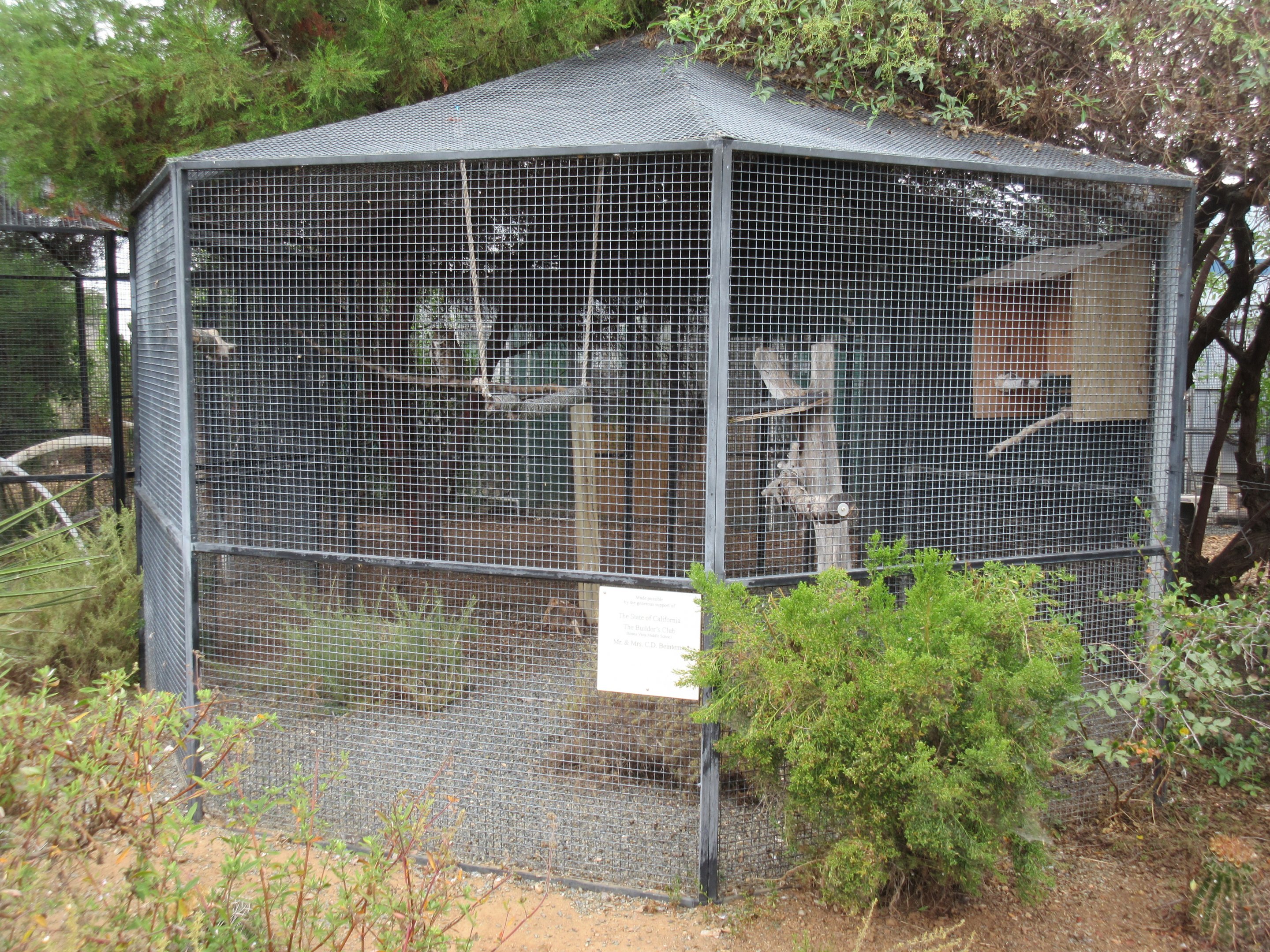 Great Horned Owl Exhibit