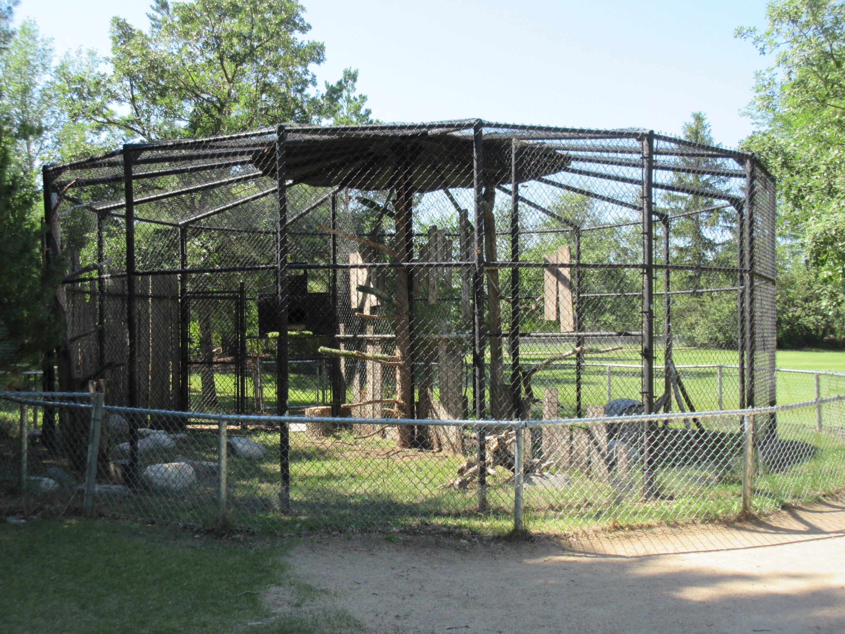 Great Horned Owl Exhibit