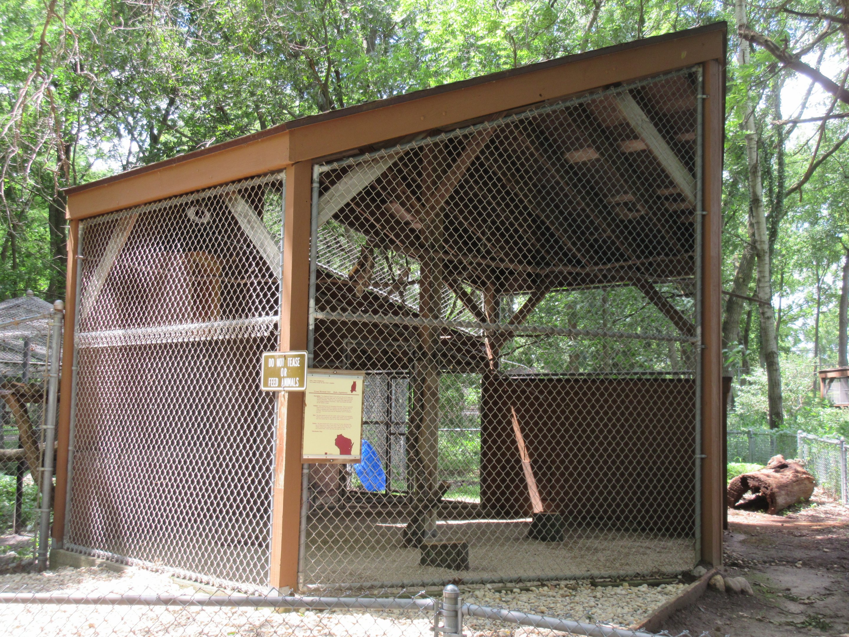 Great Horned Owl Exhibit