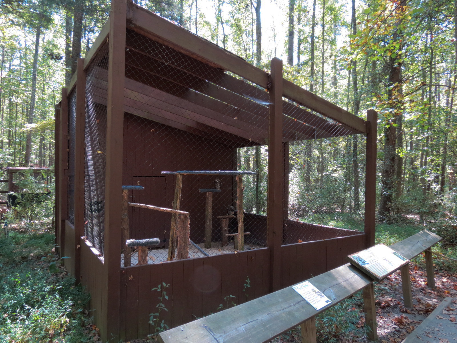 Great Horned Owl Exhibit