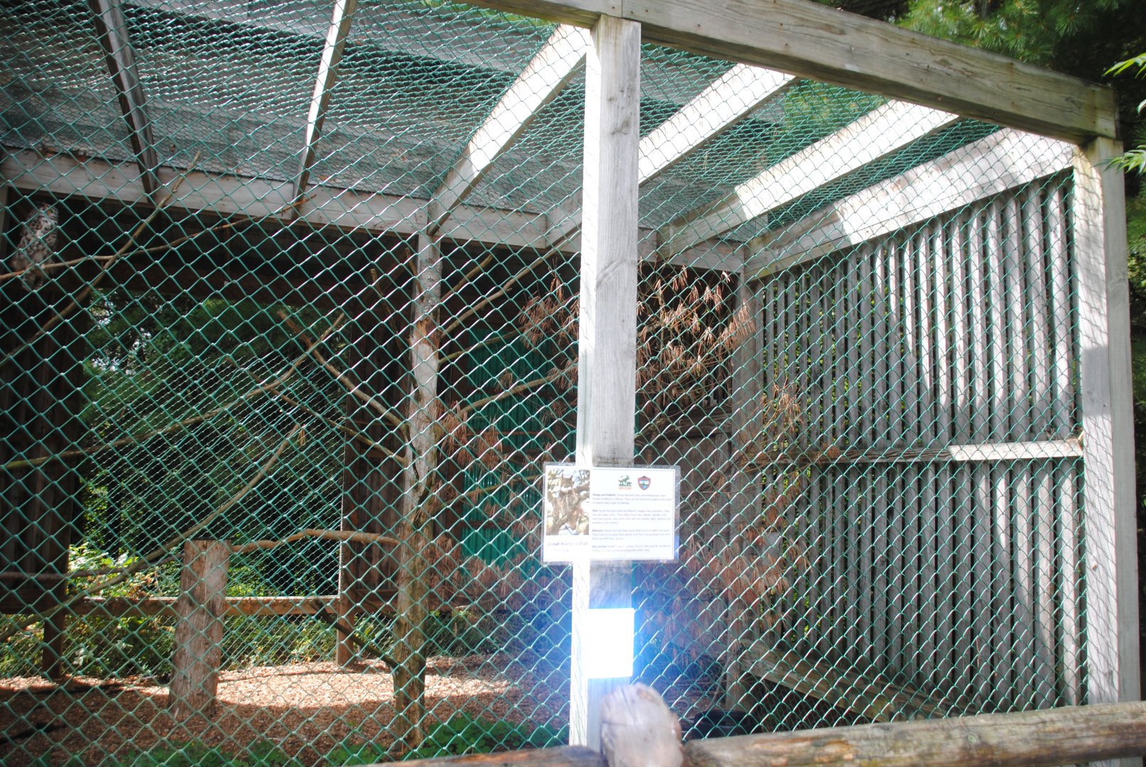 Great Horned Owl exhibit