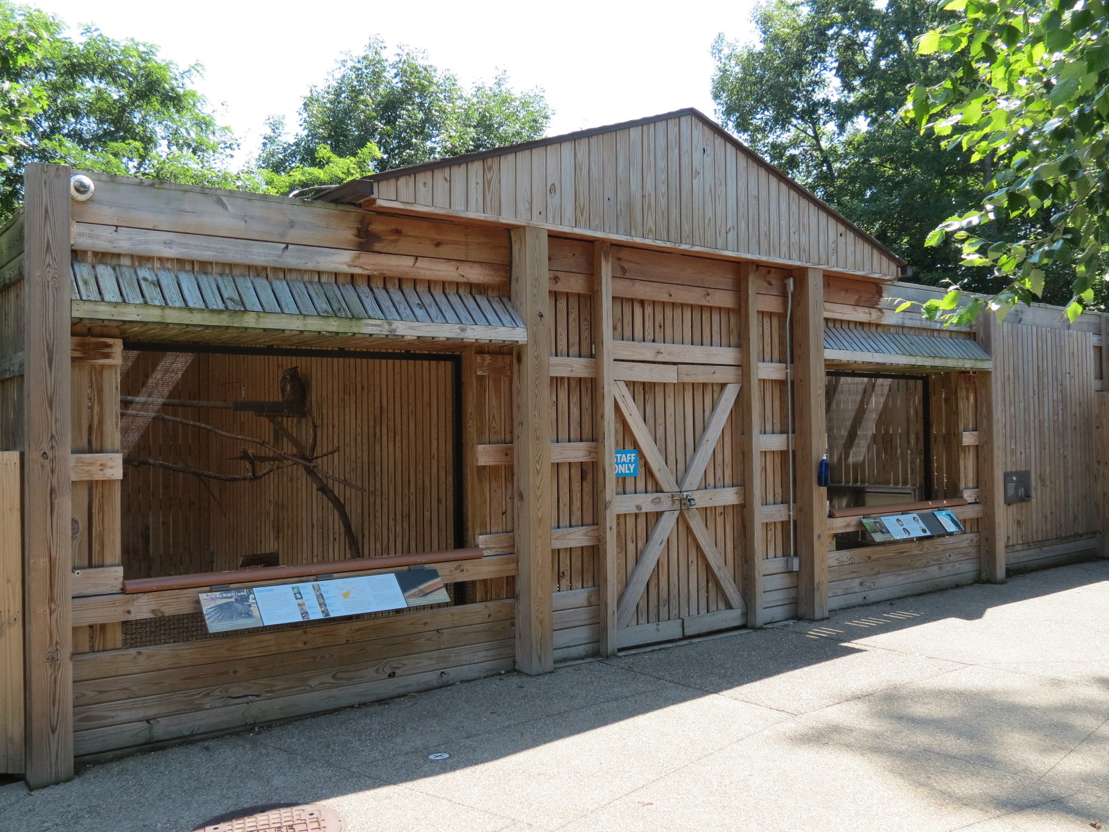 Great Horned Owl Exhibit