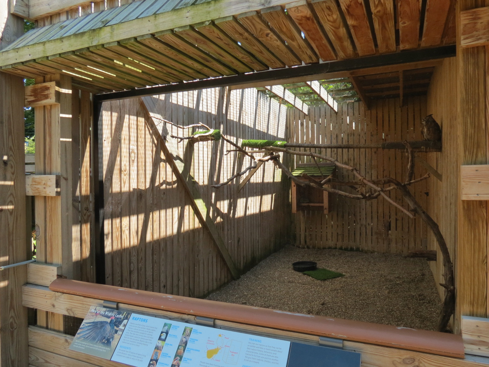 Great Horned Owl Exhibit