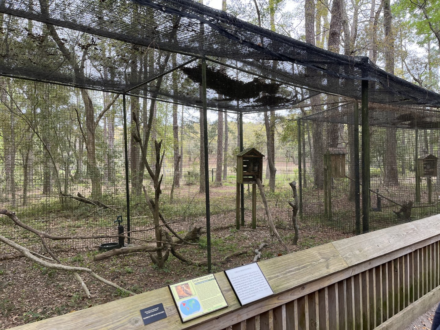 Great horned owl habitat