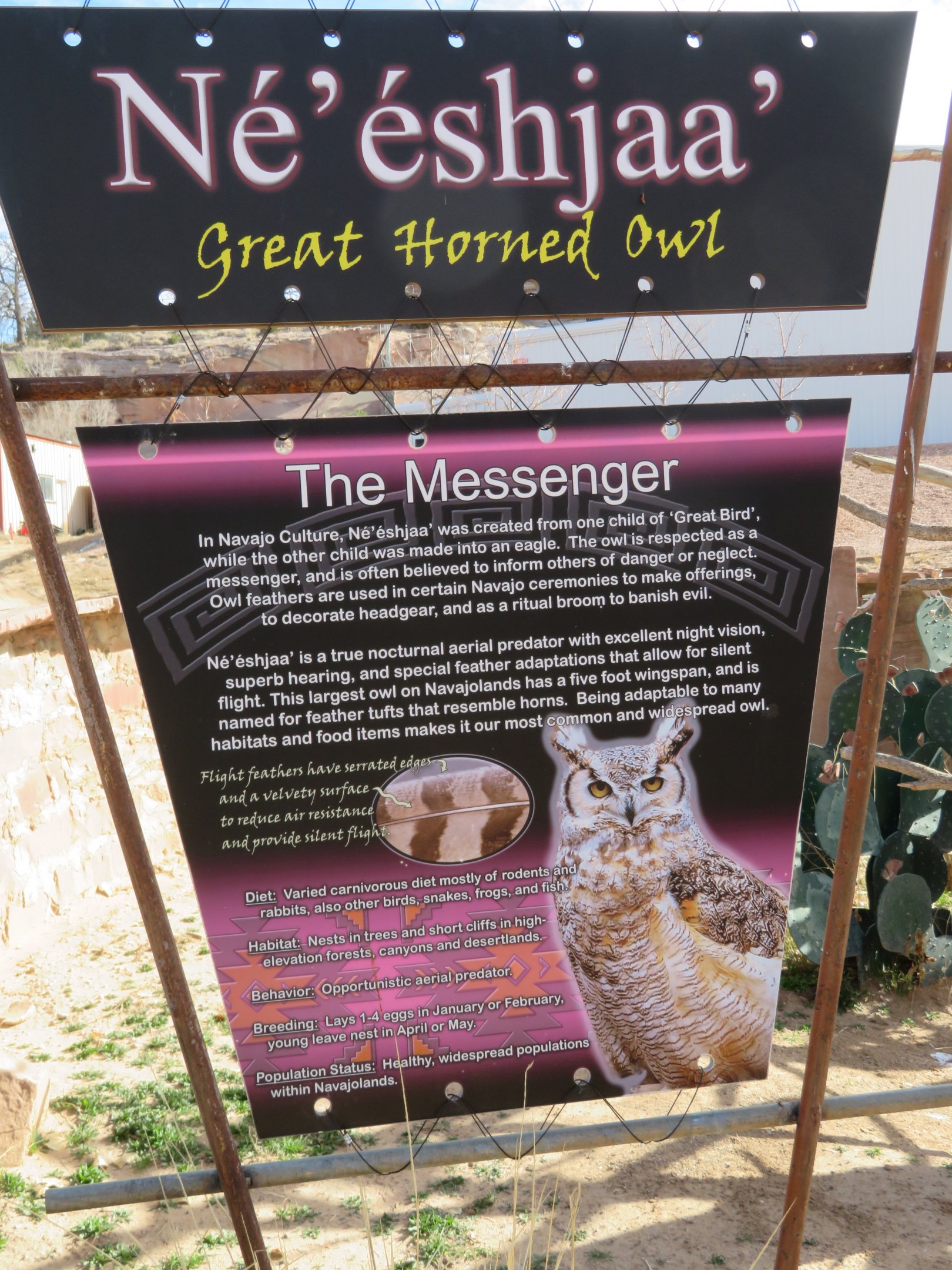 Great Horned Owl Signage