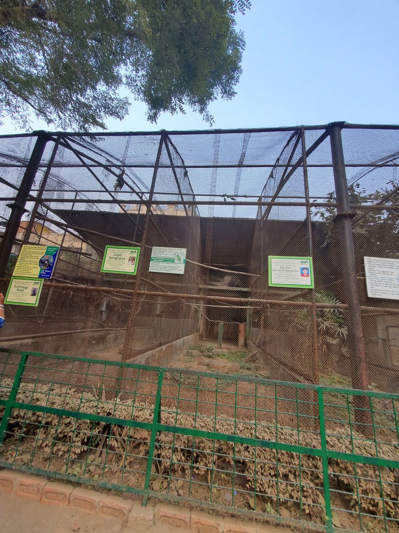 Great Indian Hornbill Exhibit + Mexican Red-Headed Amazon Exhibit - January 2023