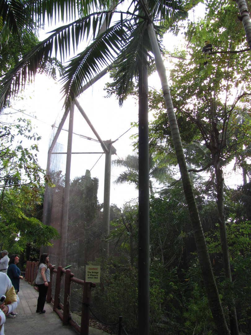 Great Indian Hornbill Exhibit