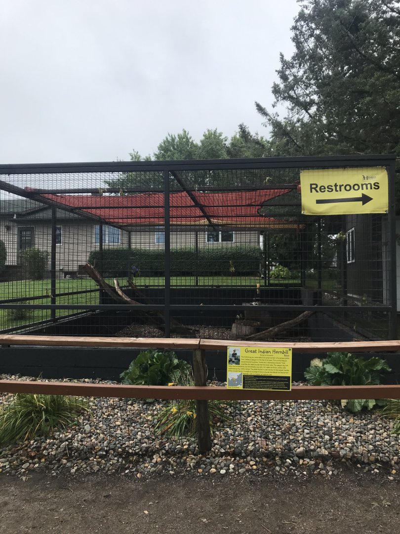 Great Indian Hornbill Exhibit