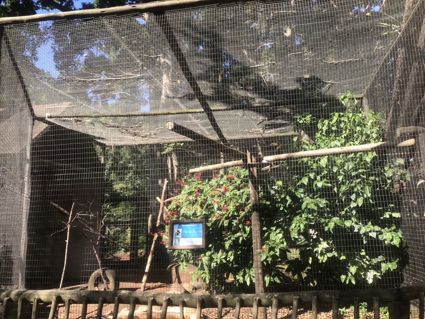 Great Indian Hornbill Exhibit