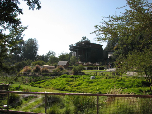 Great Lift Rift - Cheetah Run In Foreground