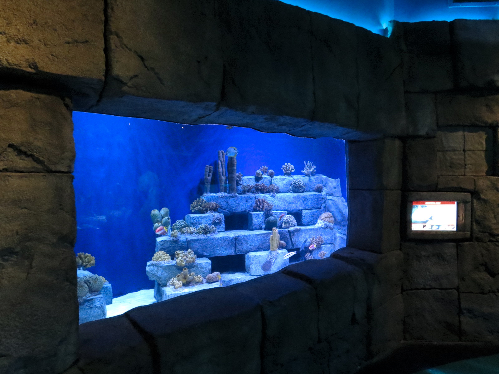Great Maya Reef - Artificial Reef Tank