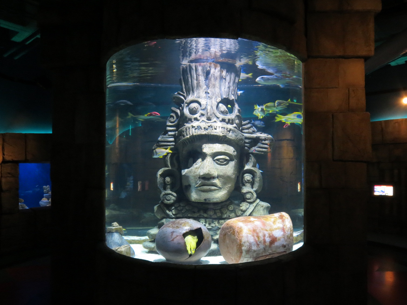 Great Maya Reef - Channel Tank