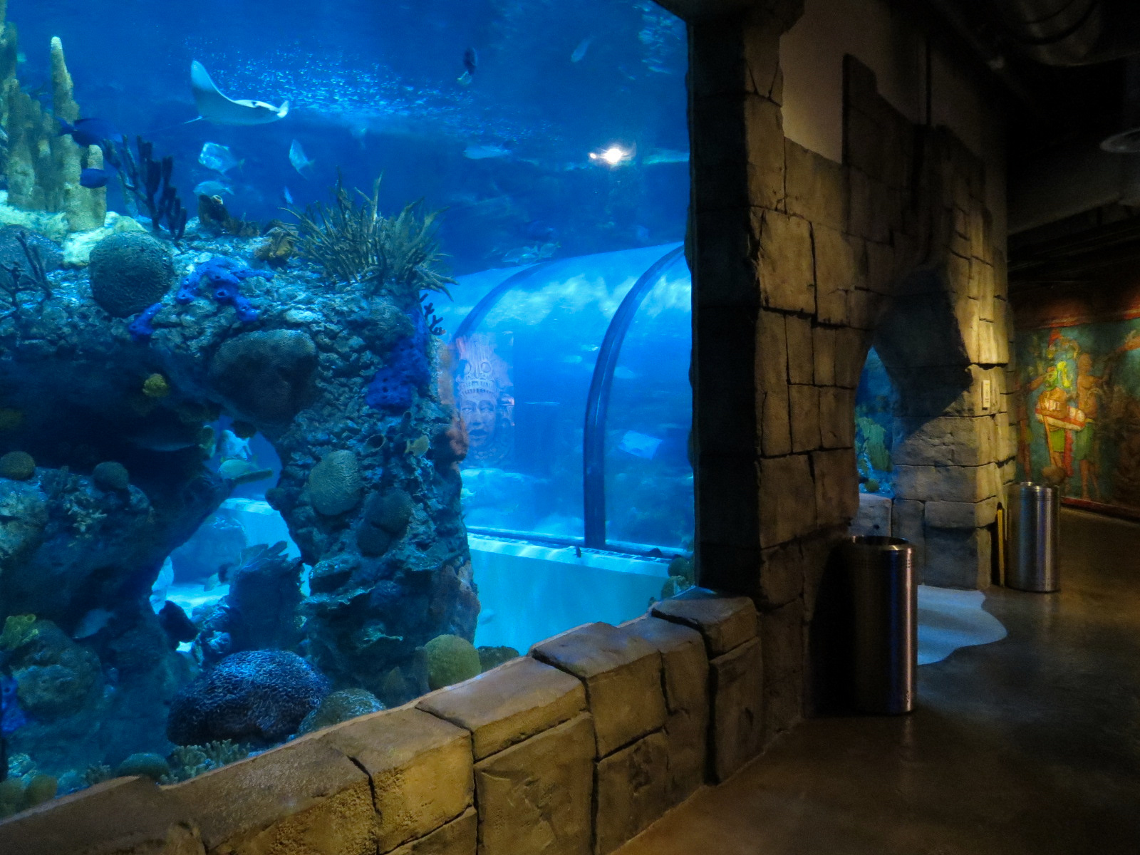 Great Maya Reef - Exhibit With Walk-through Tunnel